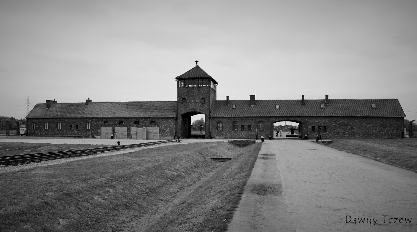 DSC00415 (2) (Medium).JPG