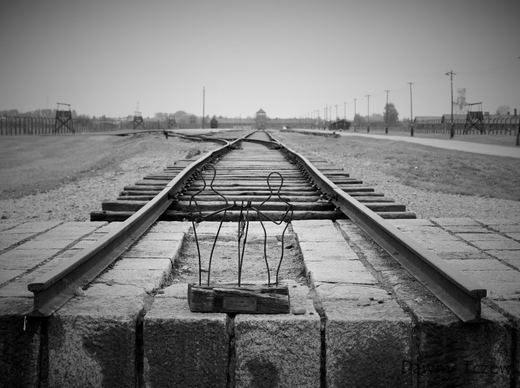 DSC00461 (3) (Medium).JPG