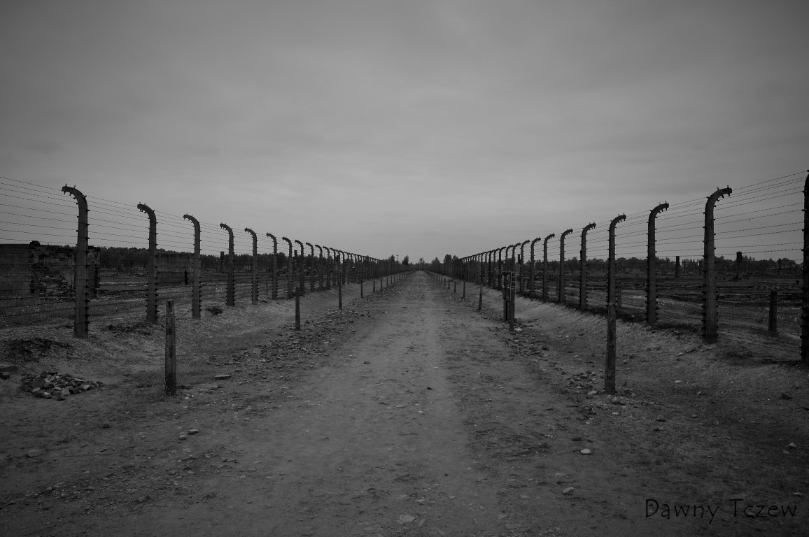 DSC00475 (2) (Medium).JPG