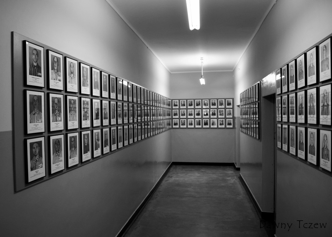 DSC00310 (2) (Medium).JPG