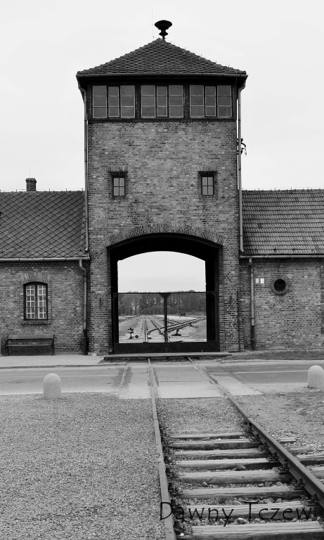 DSC00405 (2) (Medium).JPG