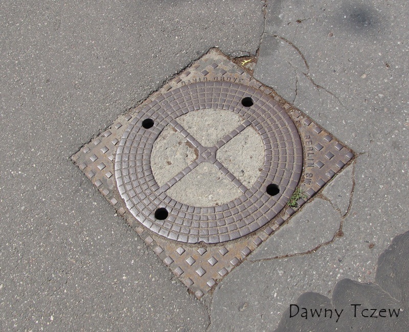 Czyżykowska Grove.jpg