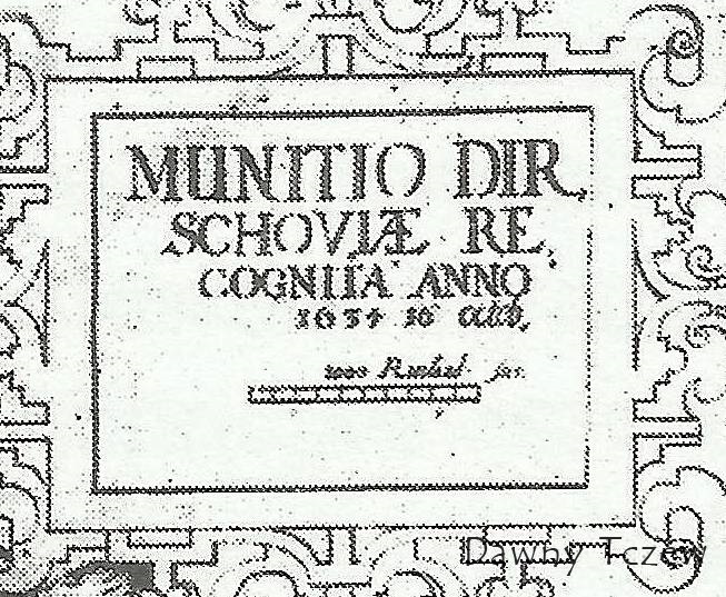 Scan.jpg
