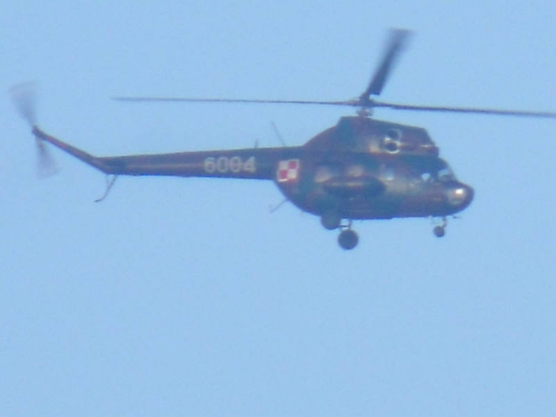 DSCF0981.jpg