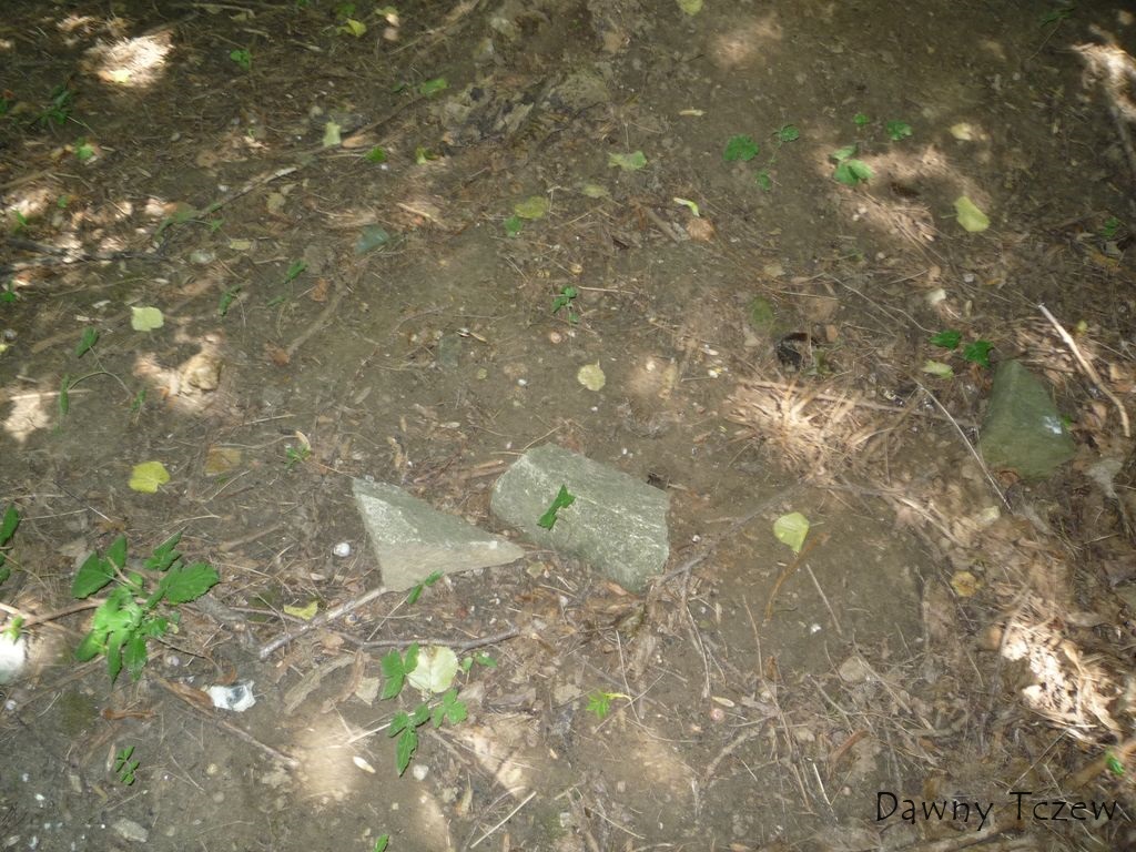 fragment 1.jpg