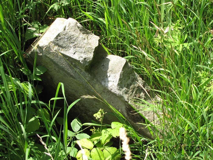 macewy 2.jpg