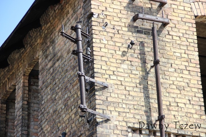 IMG_5623 (Small).JPG