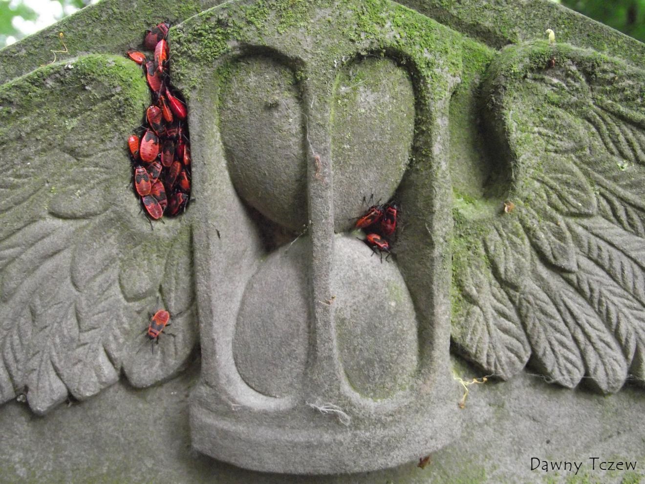 DSCF2134.jpg