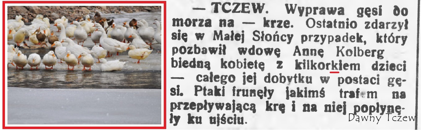 Pielgrzym 07 01 1930.jpg