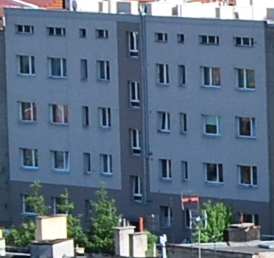009-crop.JPG