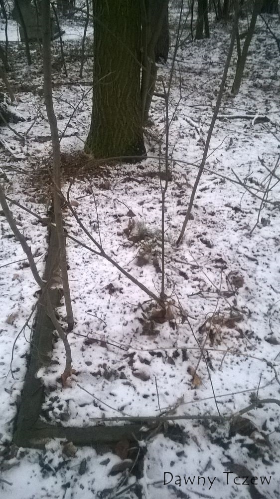WP_20150131_018.jpg