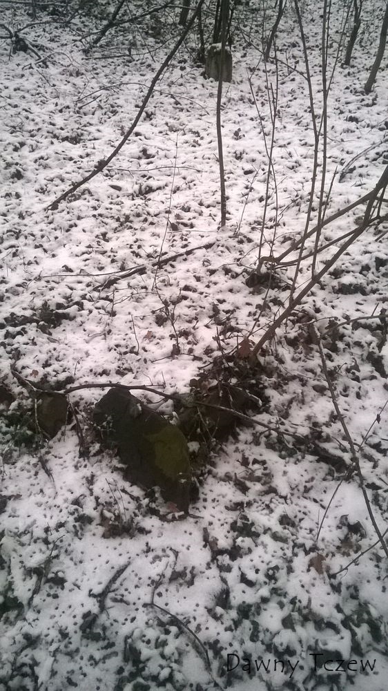 WP_20150131_019.jpg
