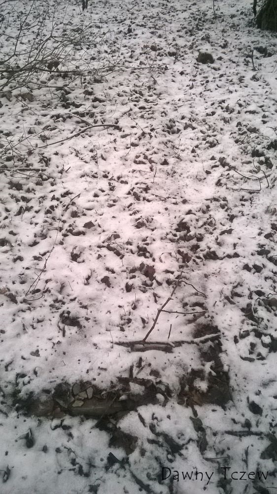 WP_20150131_020.jpg