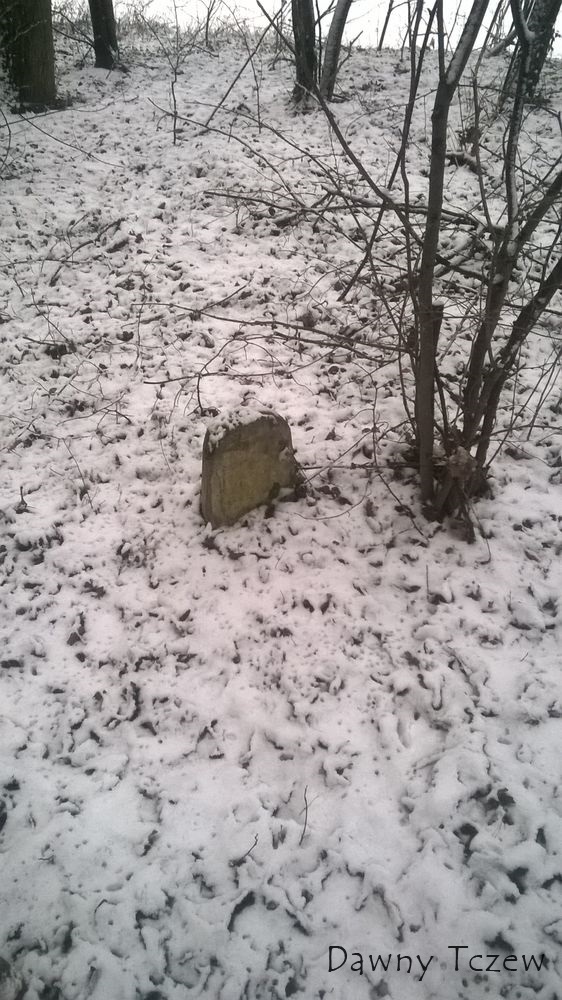 WP_20150131_023.jpg