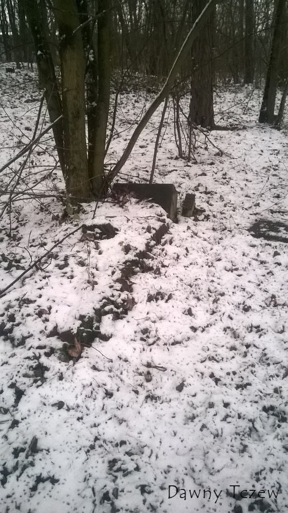 WP_20150131_024.jpg