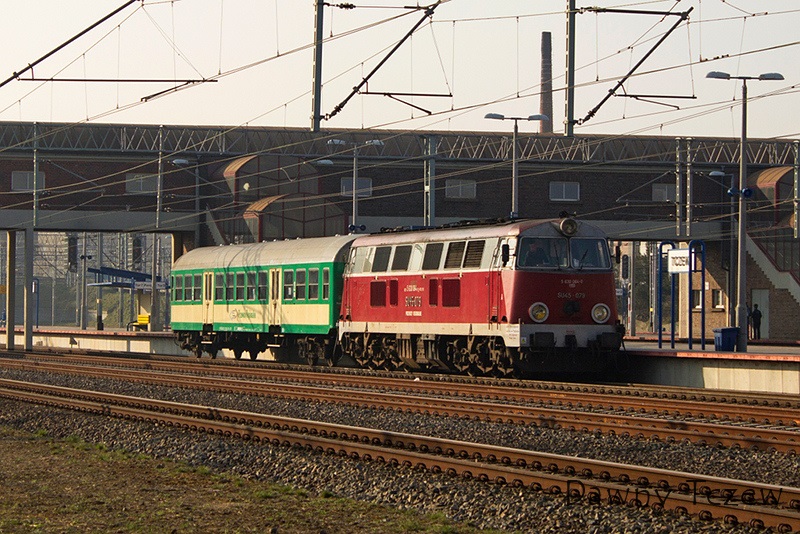 dt4.jpg