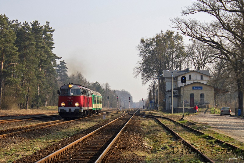 dt1.jpg