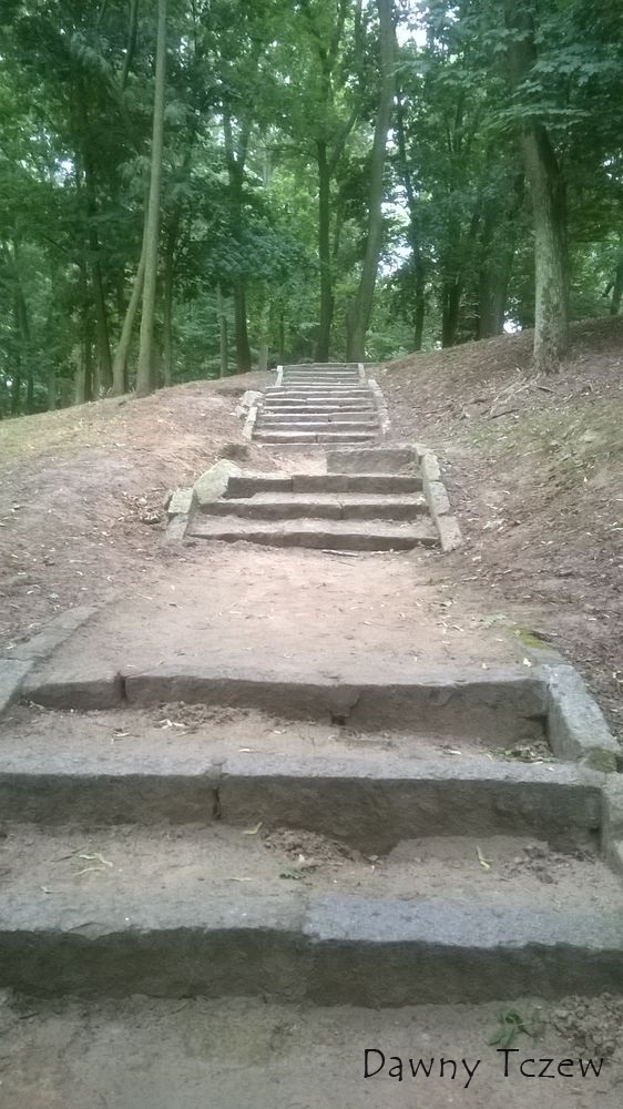 WP_20150709_002.jpg