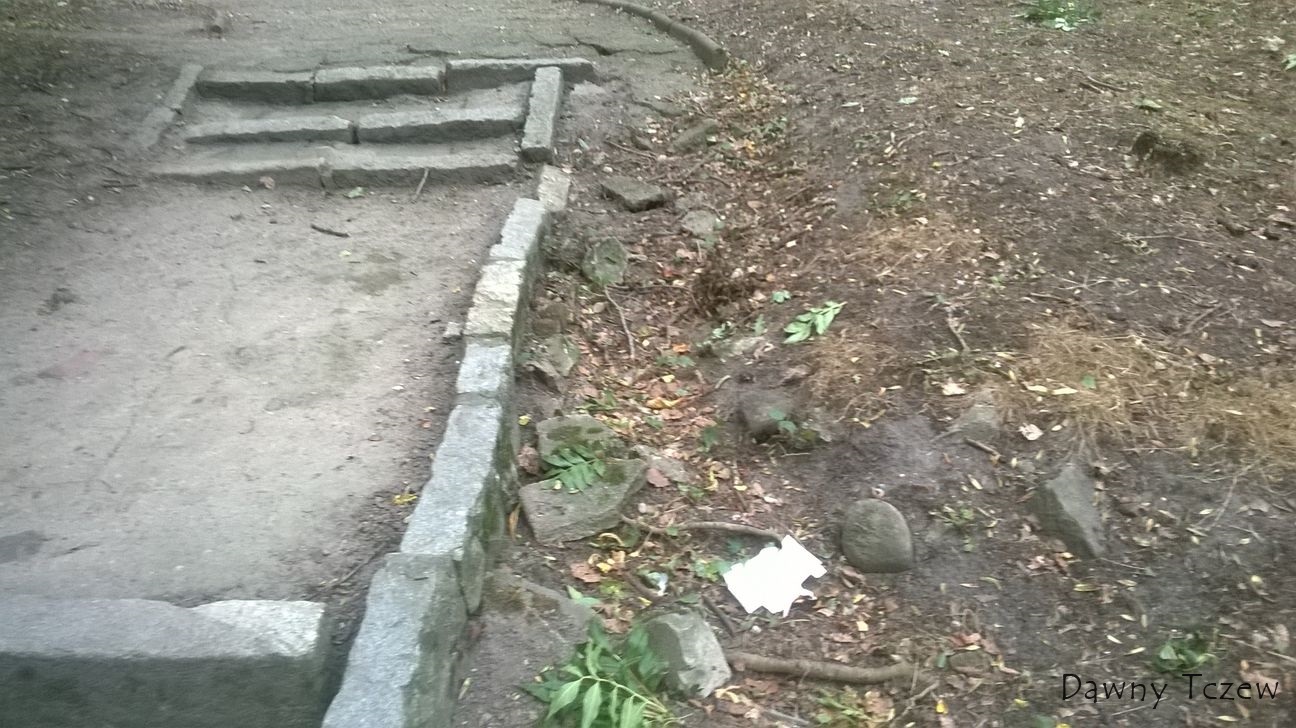 odpływ dziki.jpg