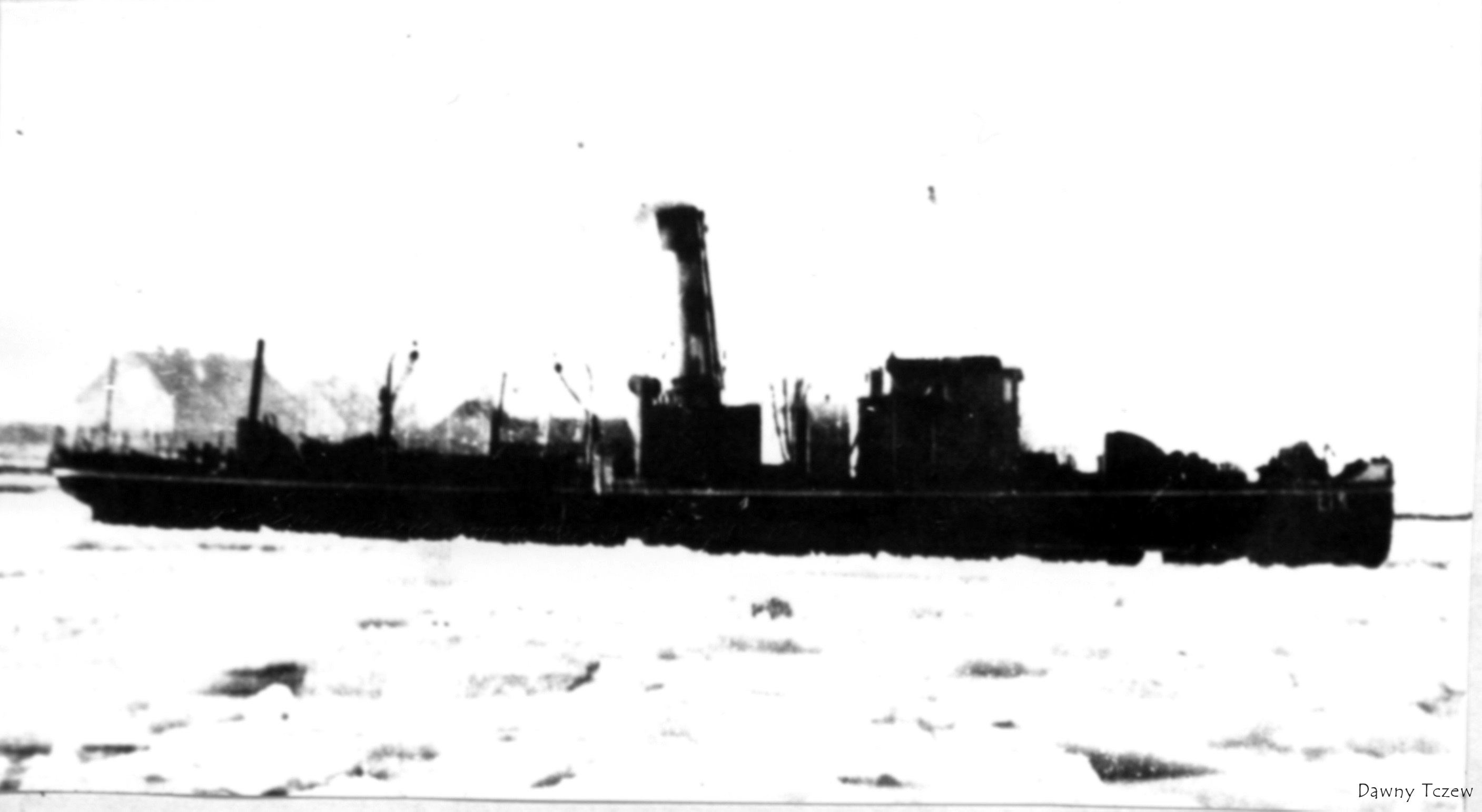 Lis.jpg