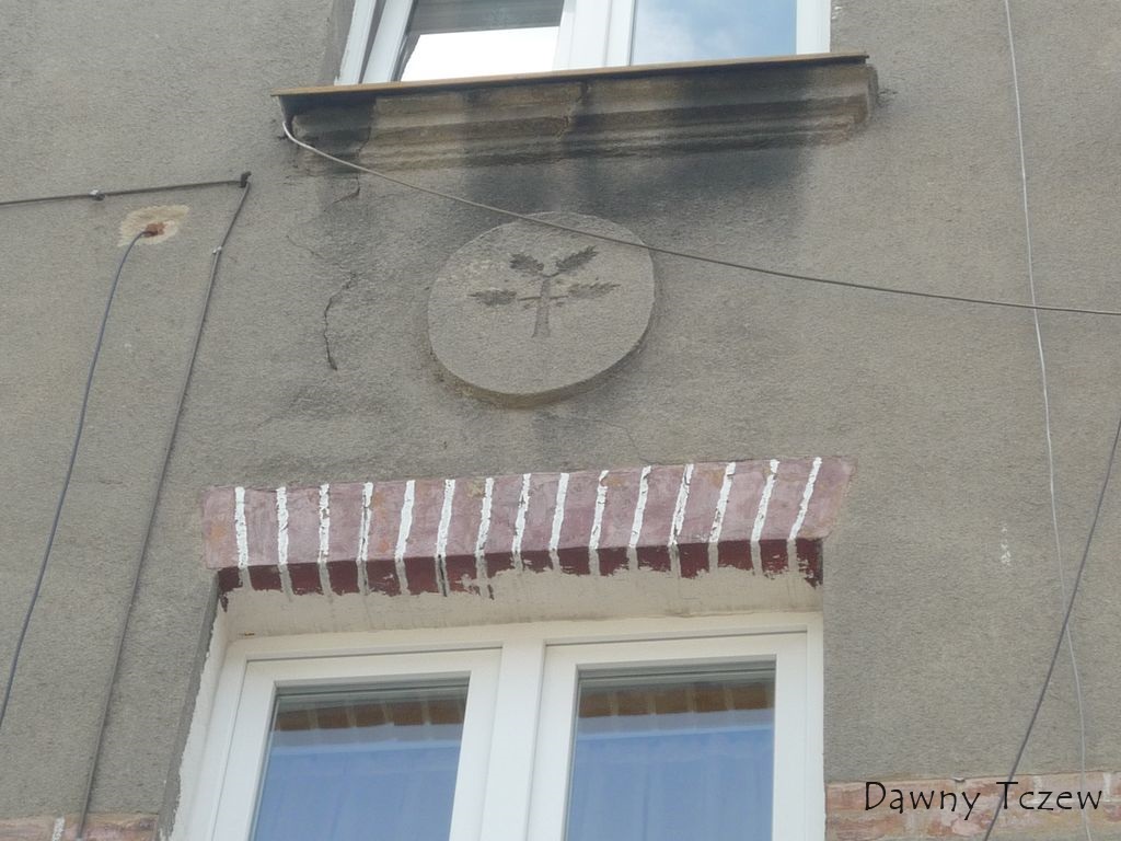 dęby.jpg