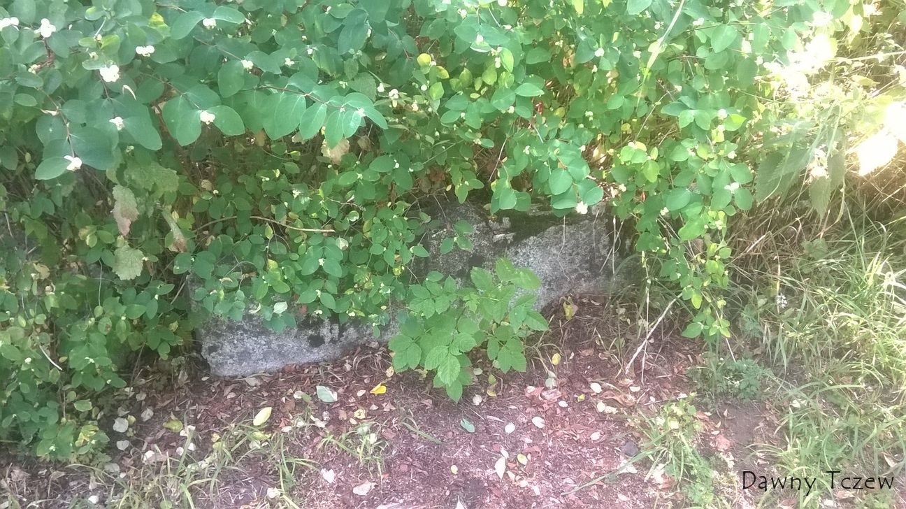 WP_20150722_008.jpg
