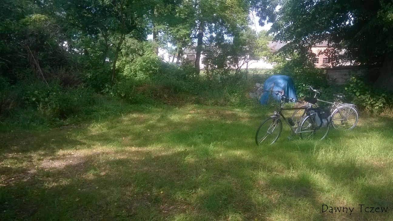 WP_20150722_011.jpg