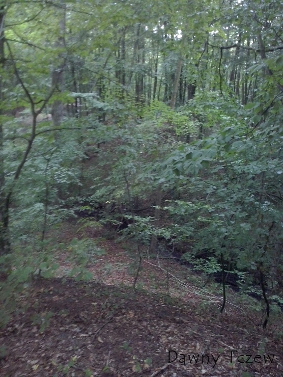 CAM00591.jpg