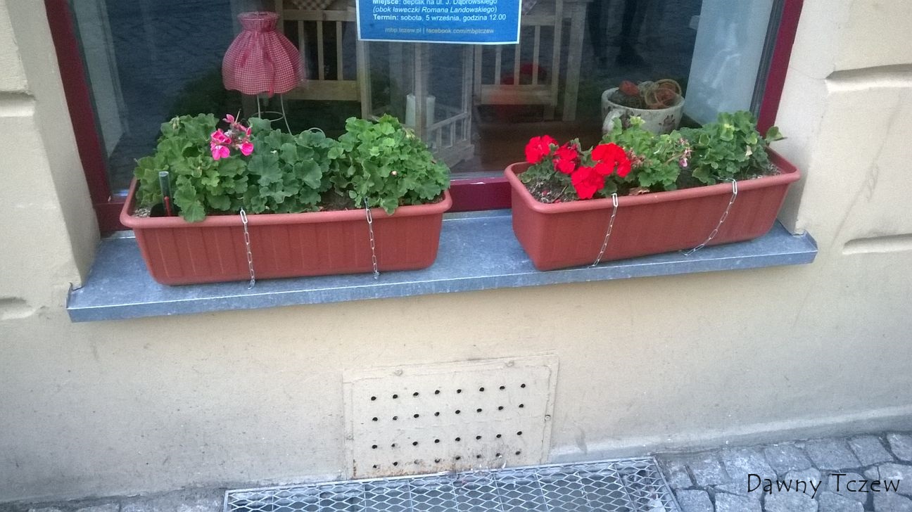 WP_20150828_004.jpg