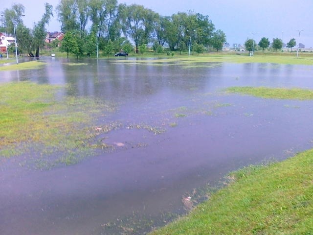 20100611043.jpg