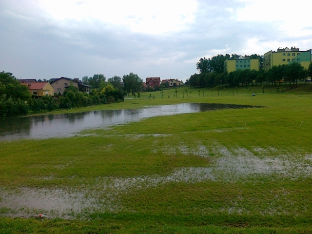 20100611046.jpg