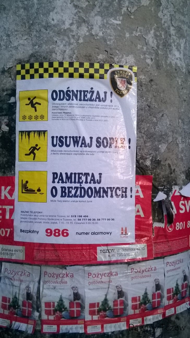 WP_20151207_001.jpg