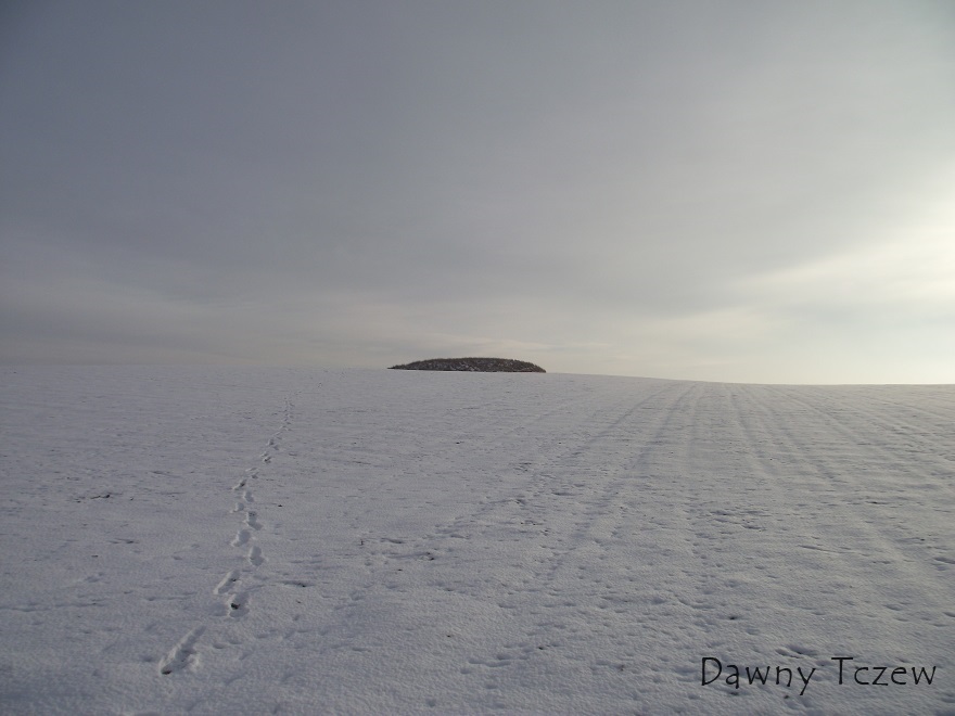 DSCF5590.JPG