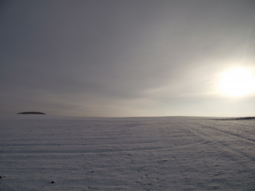 DSCF5591.JPG