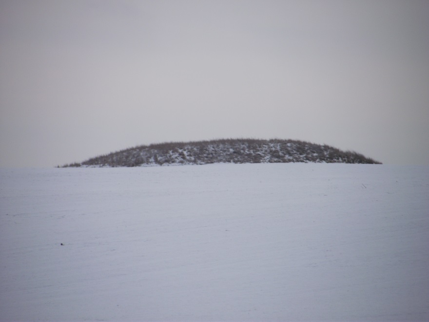 DSCF5577.JPG
