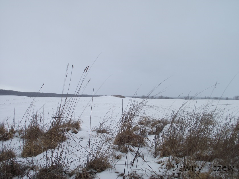 DSCF5606.JPG