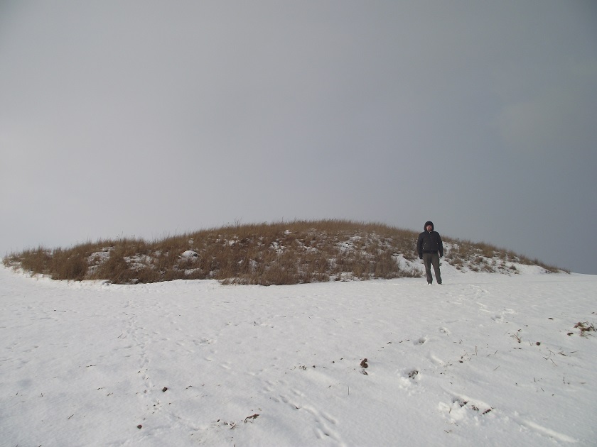 DSCF5595.JPG