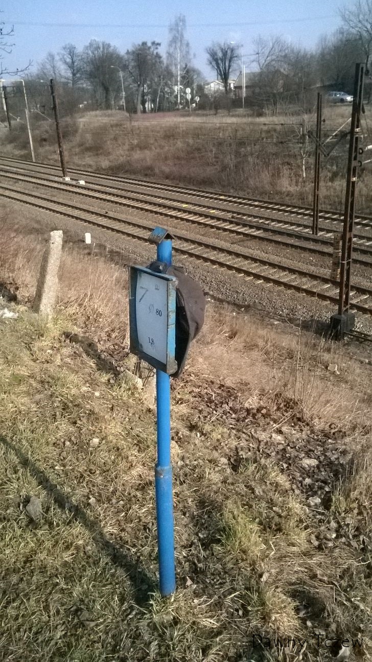 czapka.jpg