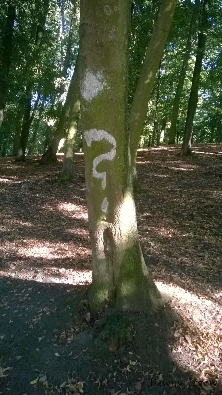 parkpytajnik.jpg
