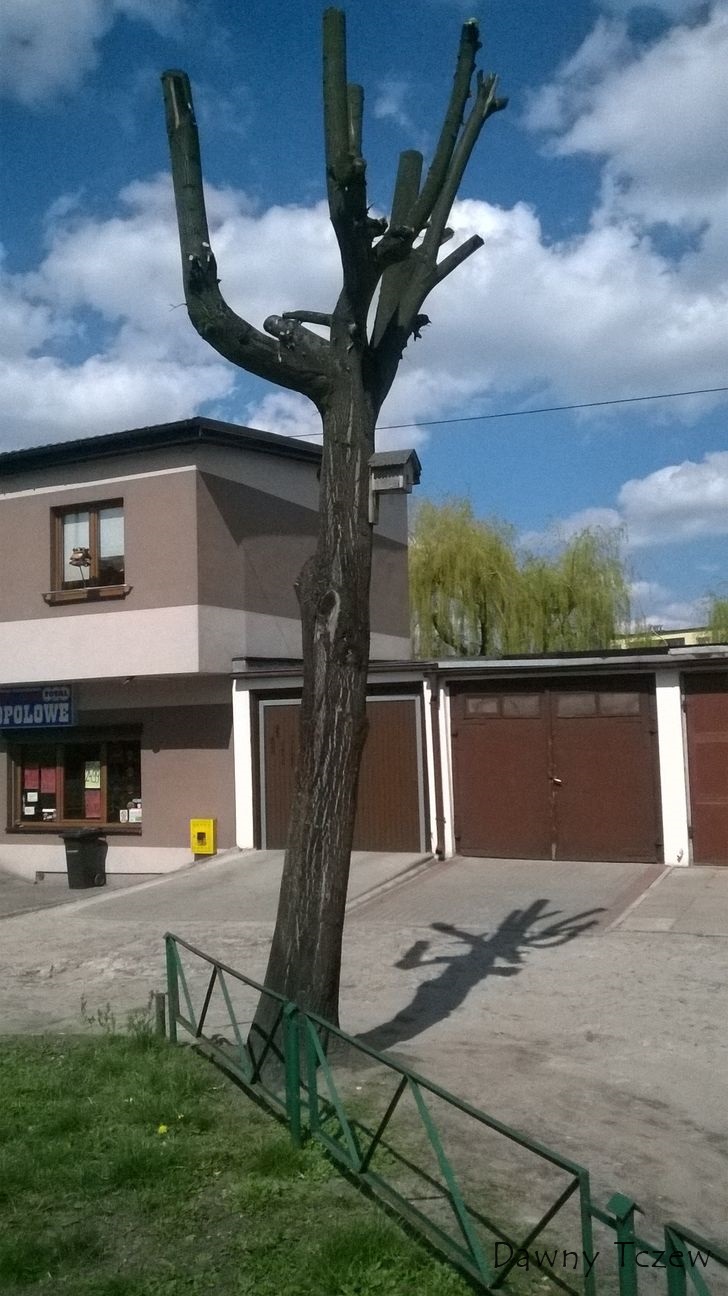 WP_20160426_001.jpg