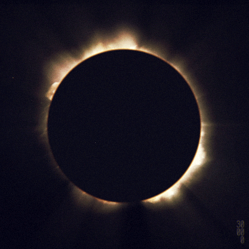 tumblr_nlhr3lhdL71s4fz4bo1_500.gif