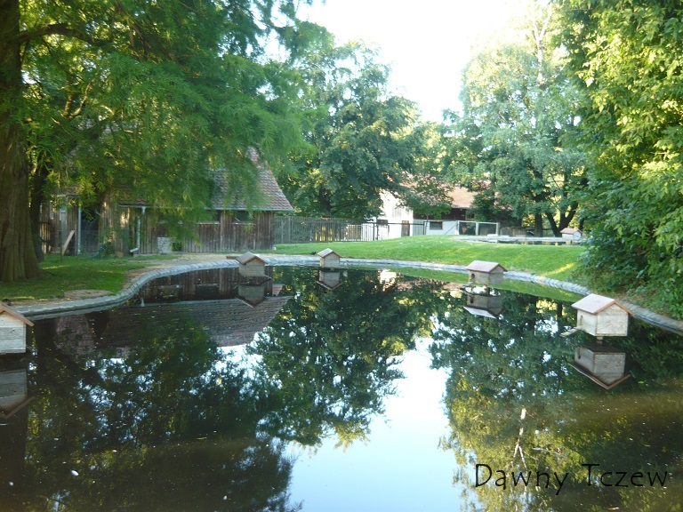 staw.jpg