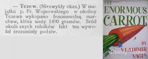 Gazeta Tucholska 22.11.1928.jpg