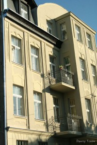 IMG_1559.jpg