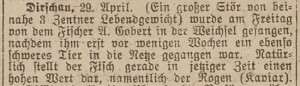 Thorner Presse 02 05 1918.jpg