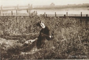 Józef Golicki Album Tczewski Fotografie do 1945 roku