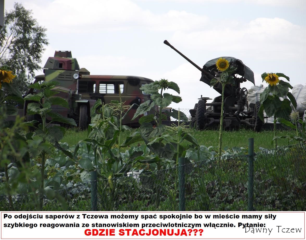 lufa w krzokach.JPG