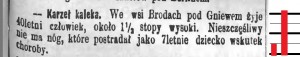Gazeta Toruńska 06 05 1883.jpg