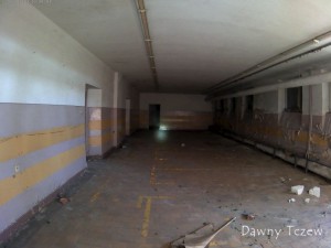 20170301_030041A1.jpg