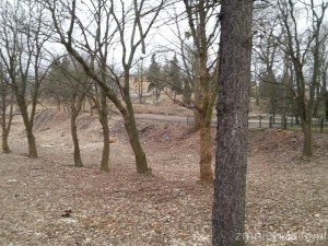 20170228_141142.jpg